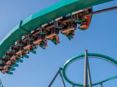 Six Flags to Add Seatbelts to Goliath Rollercoaster Following Fatal Incident Goliath at Six Flags Over Georgia